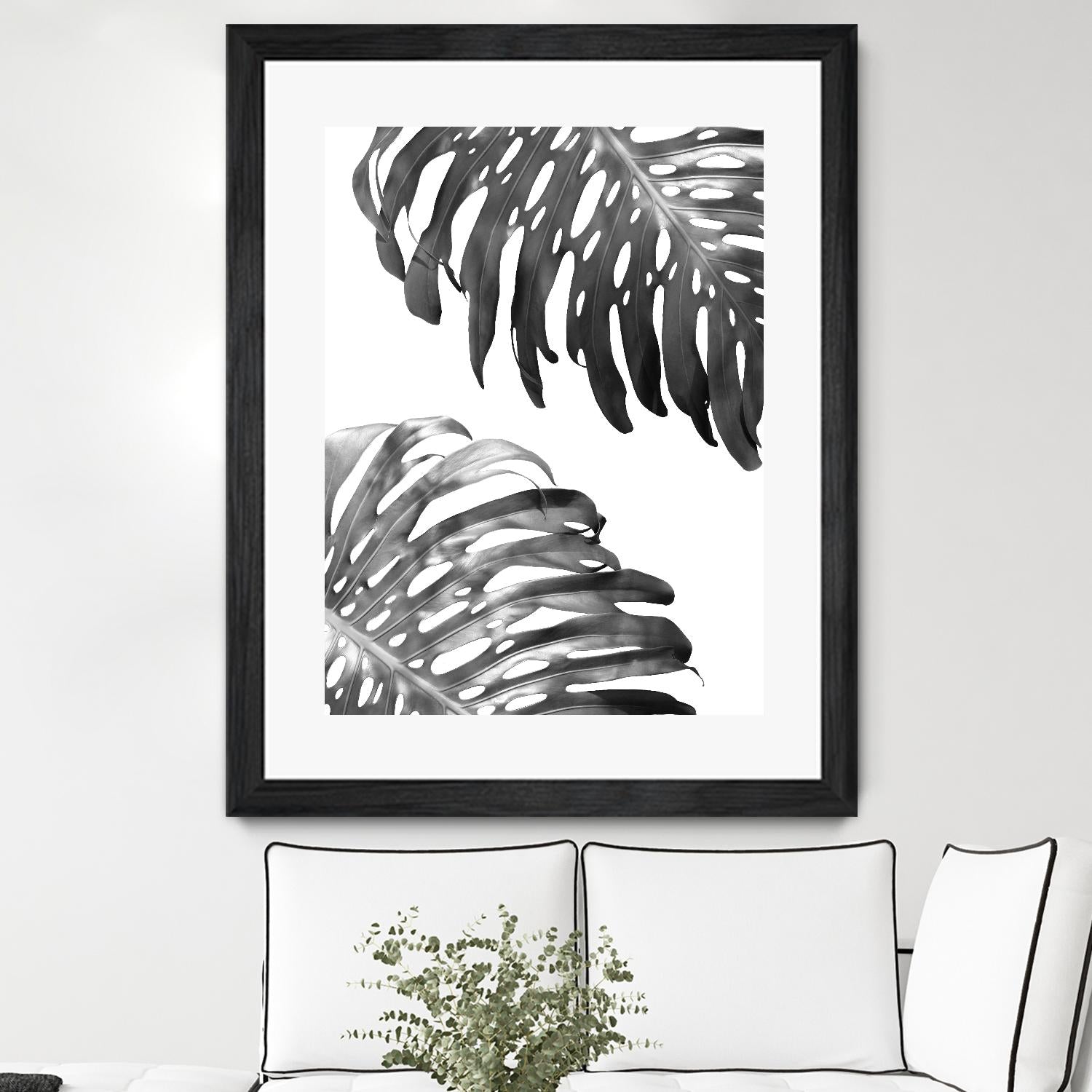 Double Philodendron (BW) by Lexie Greer on GIANT ART - multicolor photography; floral/still life