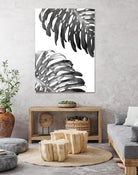 Double Philodendron (BW) by Lexie Greer on GIANT ART - multicolor photography; floral/still life