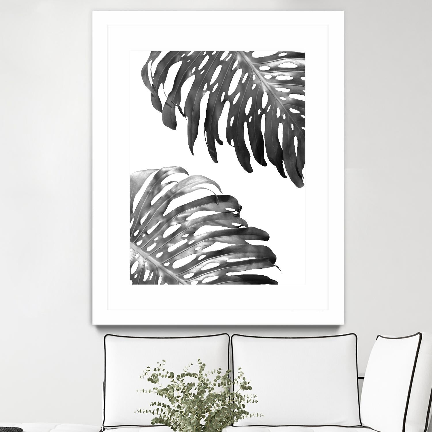 Double Philodendron (BW) by Lexie Greer on GIANT ART - multicolor photography; floral/still life