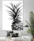 Pineapple (BW) by Lexie Greer on GIANT ART - multicolor photography; cuisine; floral/still life