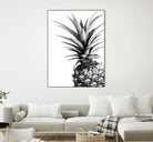 Pineapple (BW) by Lexie Greer on GIANT ART - multicolor photography; cuisine; floral/still life