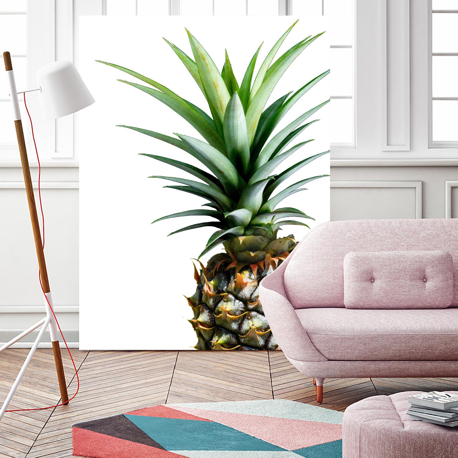 Pineapple (color) by Lexie Greer on GIANT ART - multicolor photography; cuisine; floral/still life