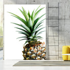 Pineapple (color) by Lexie Greer on GIANT ART - multicolor photography; cuisine; floral/still life