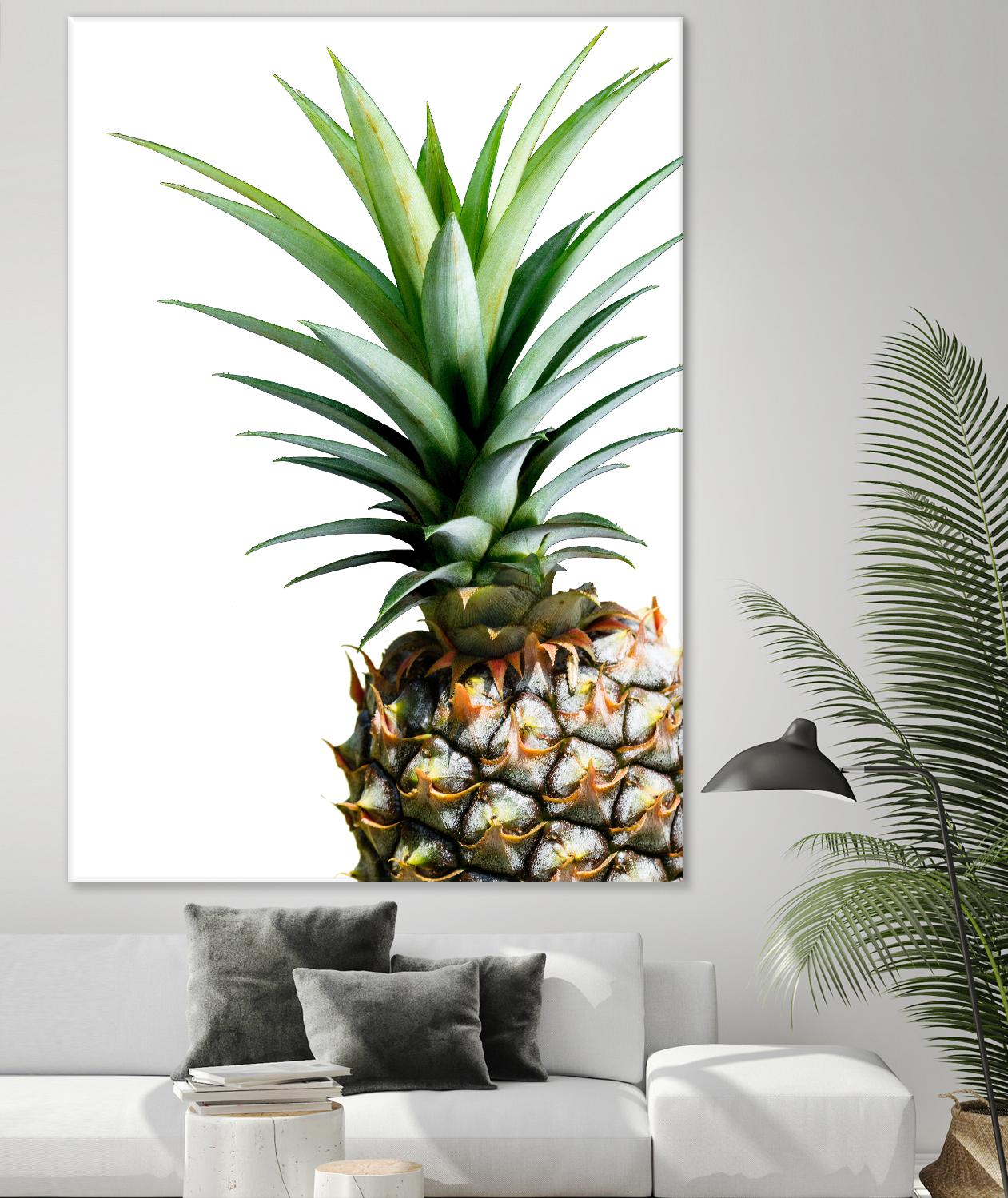 Pineapple (color) by Lexie Greer on GIANT ART - multicolor photography; cuisine; floral/still life