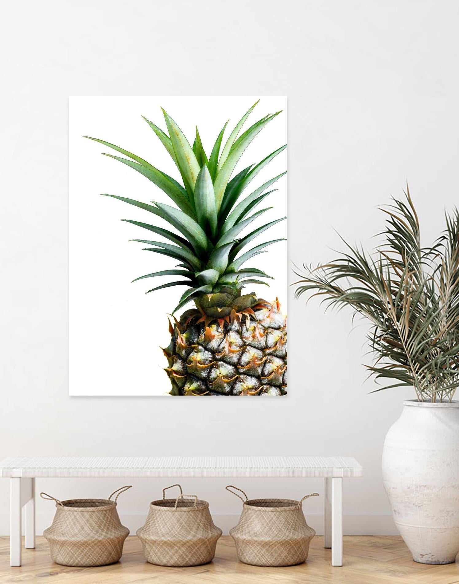 Pineapple (color) by Lexie Greer on GIANT ART - multicolor photography; cuisine; floral/still life