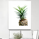 Pineapple (color) by Lexie Greer on GIANT ART - multicolor photography; cuisine; floral/still life