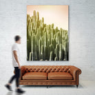 Pink Sky Cactus by Lexie Greer on GIANT ART - multicolor photography; floral/still life