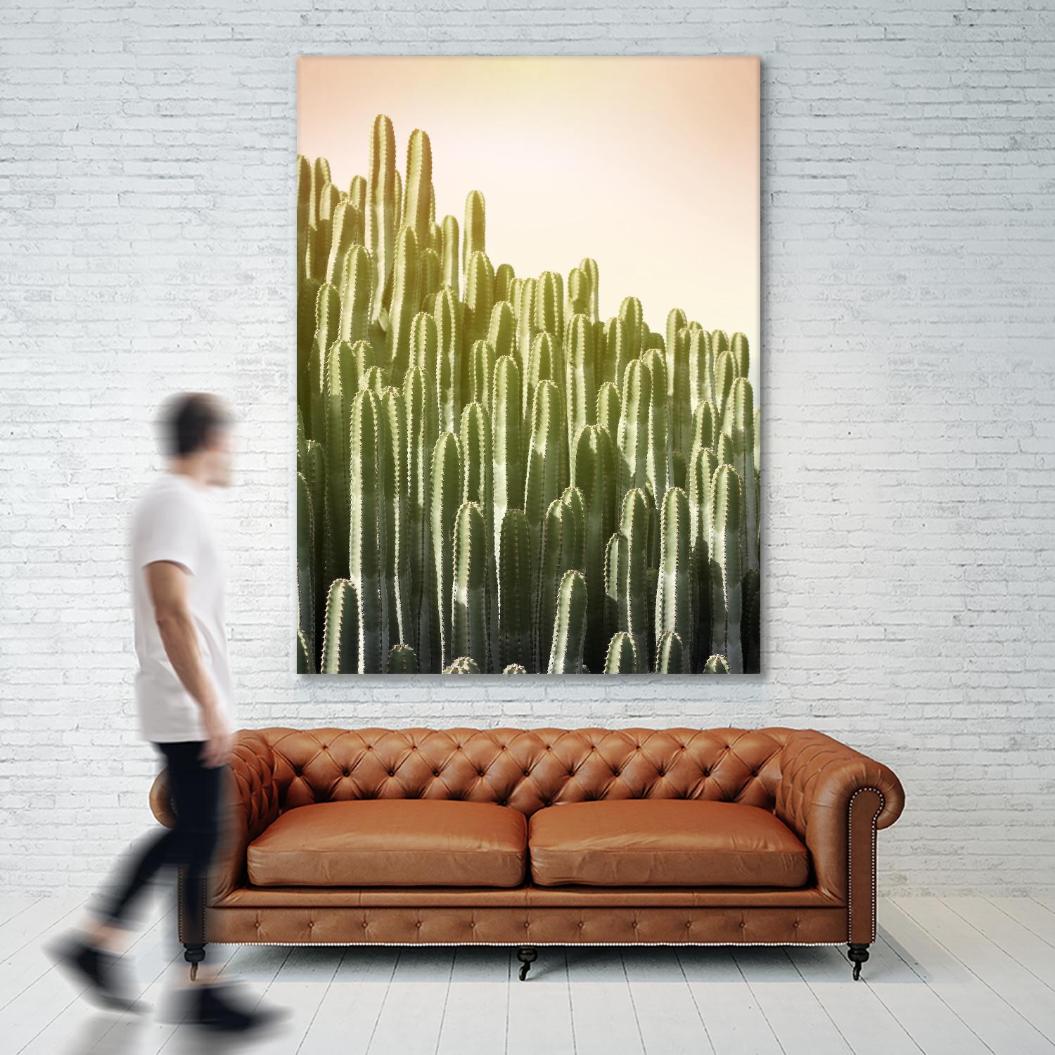 Pink Sky Cactus by Lexie Greer on GIANT ART - multicolor photography; floral/still life