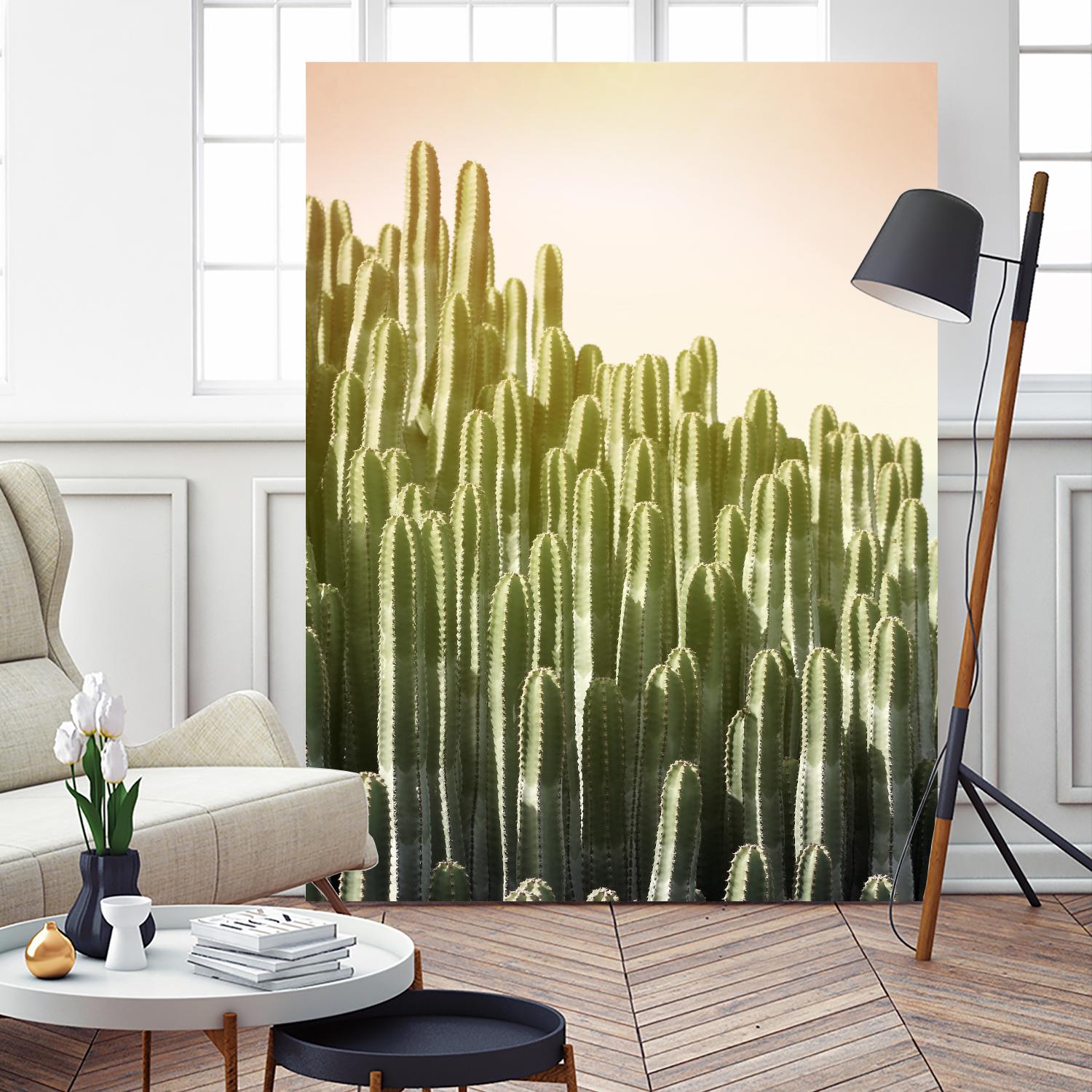 Pink Sky Cactus by Lexie Greer on GIANT ART - multicolor photography; floral/still life