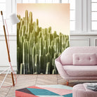 Pink Sky Cactus by Lexie Greer on GIANT ART - multicolor photography; floral/still life