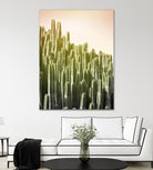 Pink Sky Cactus by Lexie Greer on GIANT ART - multicolor photography; floral/still life