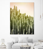 Pink Sky Cactus by Lexie Greer on GIANT ART - multicolor photography; floral/still life