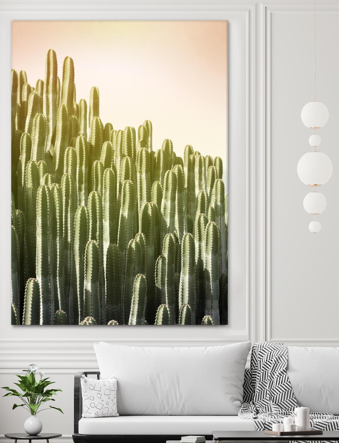 Pink Sky Cactus by Lexie Greer on GIANT ART - multicolor photography; floral/still life