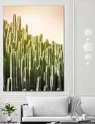 Pink Sky Cactus by Lexie Greer on GIANT ART - multicolor photography; floral/still life