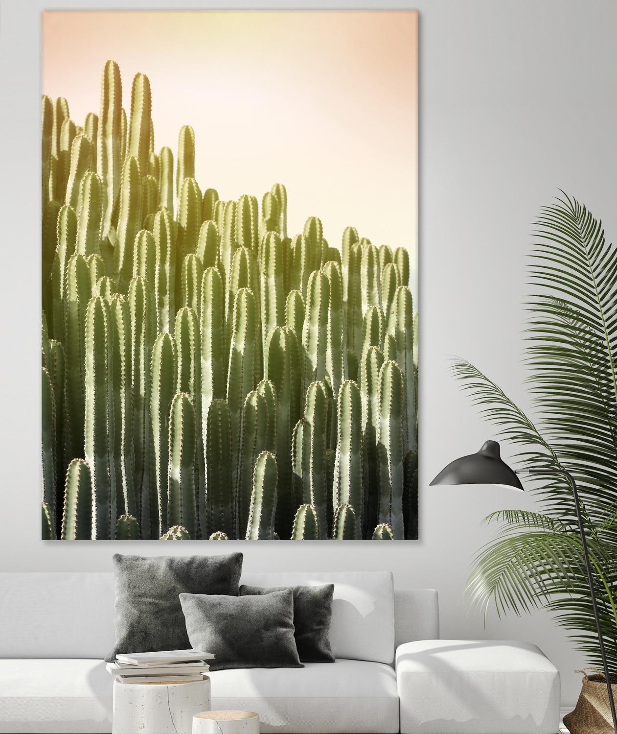 Pink Sky Cactus by Lexie Greer on GIANT ART - multicolor photography; floral/still life