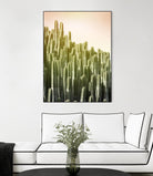 Pink Sky Cactus by Lexie Greer on GIANT ART - multicolor photography; floral/still life