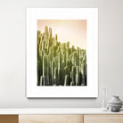 Pink Sky Cactus by Lexie Greer on GIANT ART - multicolor photography; floral/still life