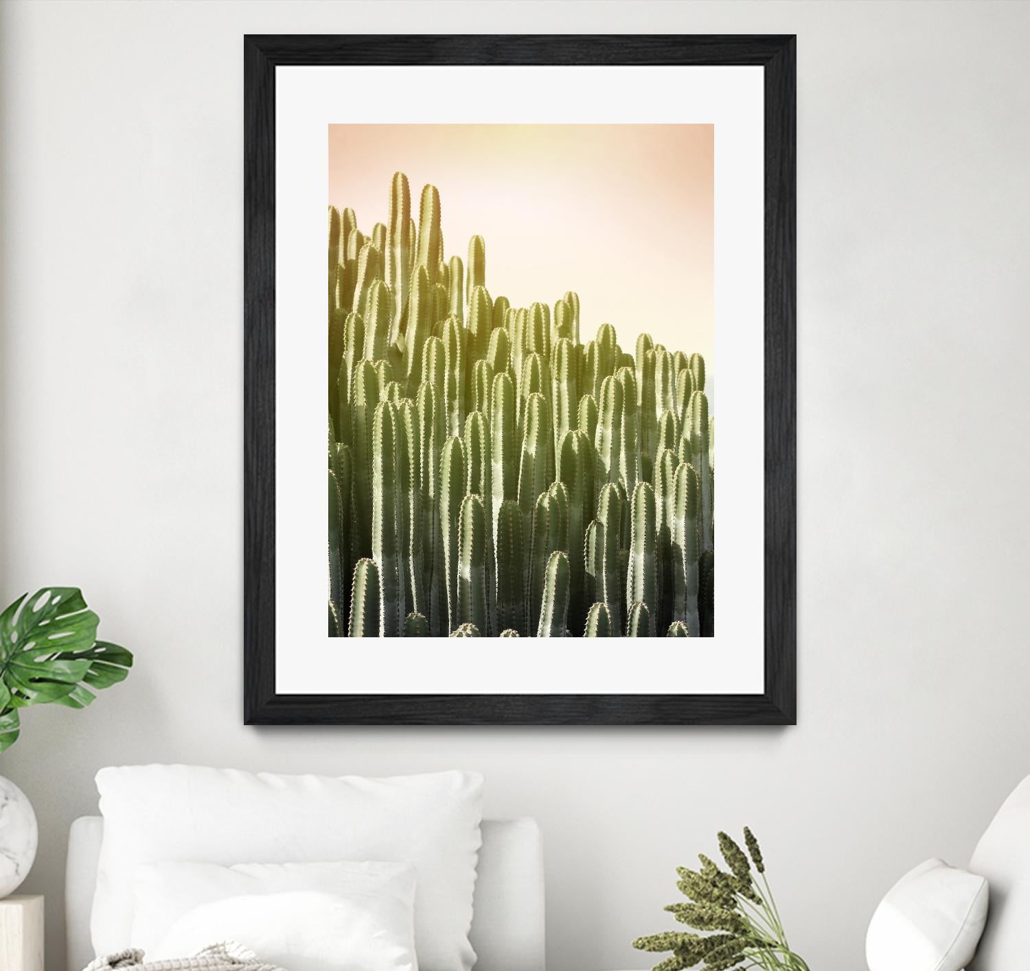 Pink Sky Cactus by Lexie Greer on GIANT ART - multicolor photography; floral/still life