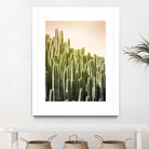 Pink Sky Cactus by Lexie Greer on GIANT ART - multicolor photography; floral/still life