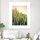 Pink Sky Cactus by Lexie Greer on GIANT ART - multicolor photography; floral/still life