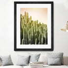 Pink Sky Cactus by Lexie Greer on GIANT ART - multicolor photography; floral/still life