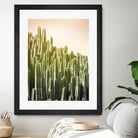 Pink Sky Cactus by Lexie Greer on GIANT ART - multicolor photography; floral/still life
