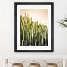 Pink Sky Cactus by Lexie Greer on GIANT ART - multicolor photography; floral/still life