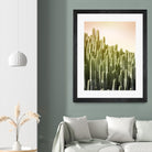 Pink Sky Cactus by Lexie Greer on GIANT ART - multicolor photography; floral/still life