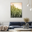 Pink Sky Cactus by Lexie Greer on GIANT ART - multicolor photography; floral/still life