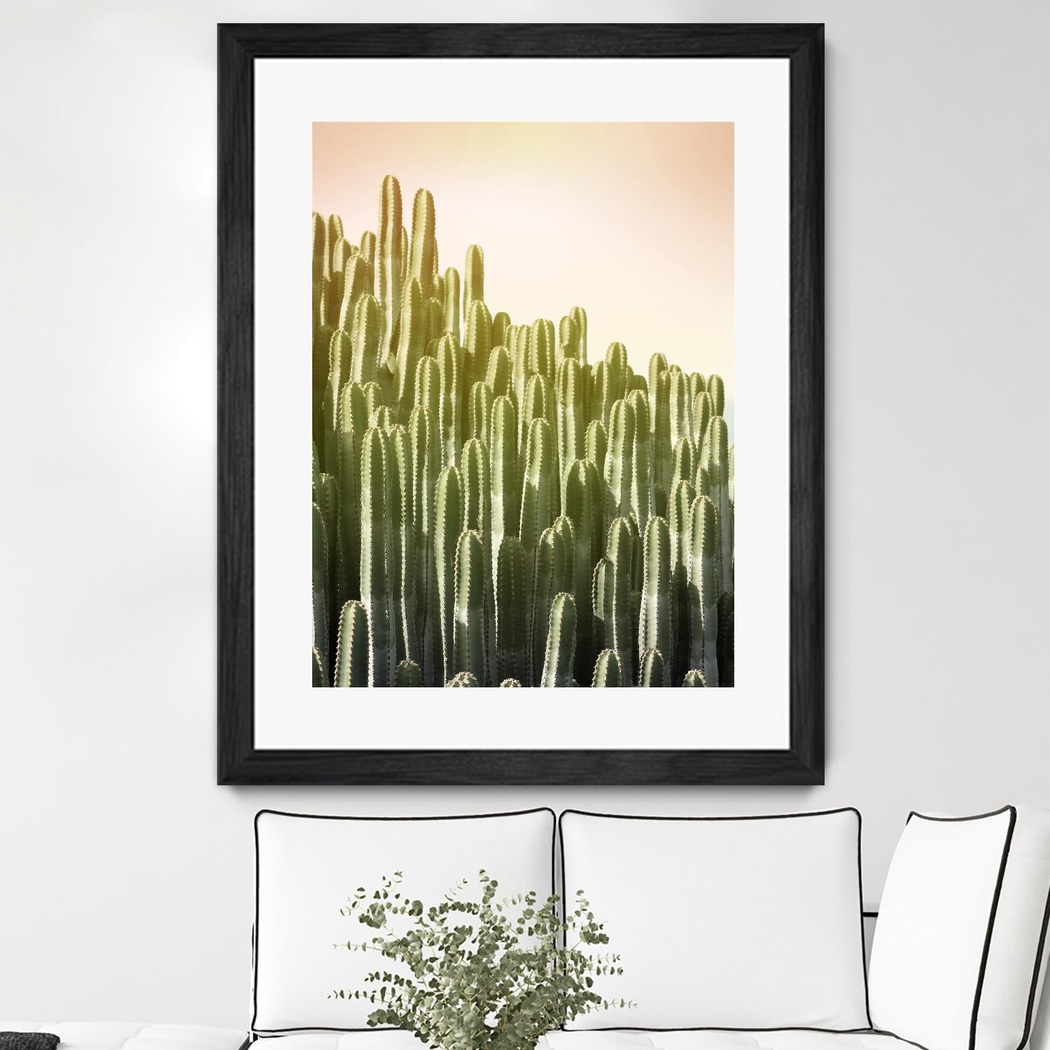 Pink Sky Cactus by Lexie Greer on GIANT ART - multicolor photography; floral/still life