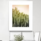 Pink Sky Cactus by Lexie Greer on GIANT ART - multicolor photography; floral/still life