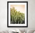 Pink Sky Cactus by Lexie Greer on GIANT ART - multicolor photography; floral/still life