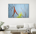 Red and Green by the River by Ulpi Gonzalez on GIANT ART - multicolor photography; floral/still life; landscapes