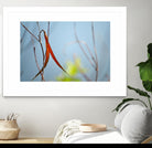 Red and Green by the River by Ulpi Gonzalez on GIANT ART - multicolor photography; floral/still life; landscapes