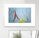 Red and Green by the River by Ulpi Gonzalez on GIANT ART - multicolor photography; floral/still life; landscapes