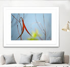 Red and Green by the River by Ulpi Gonzalez on GIANT ART - multicolor photography; floral/still life; landscapes