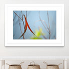 Red and Green by the River by Ulpi Gonzalez on GIANT ART - multicolor photography; floral/still life; landscapes