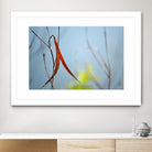 Red and Green by the River by Ulpi Gonzalez on GIANT ART - multicolor photography; floral/still life; landscapes