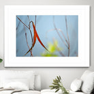 Red and Green by the River by Ulpi Gonzalez on GIANT ART - multicolor photography; floral/still life; landscapes