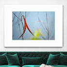 Red and Green by the River by Ulpi Gonzalez on GIANT ART - multicolor photography; floral/still life; landscapes