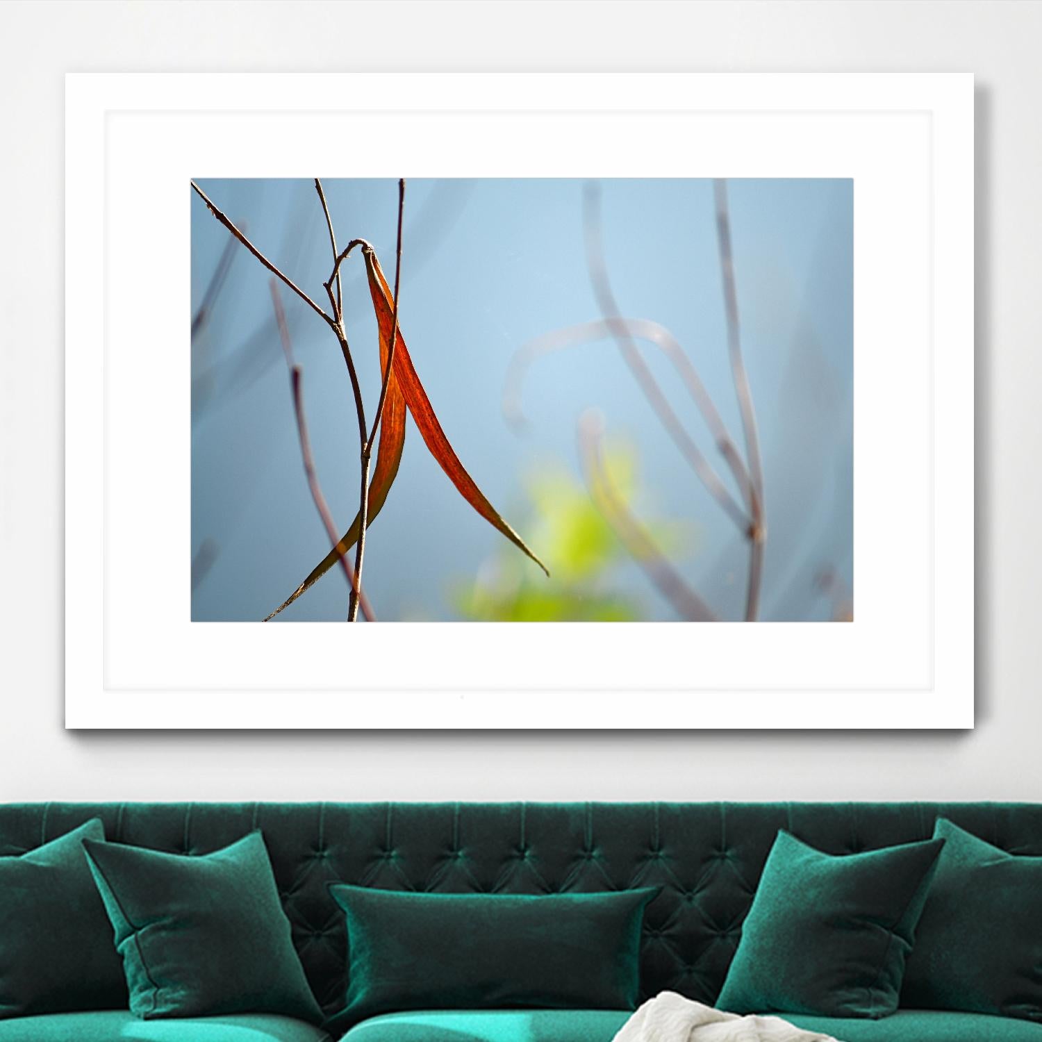 Red and Green by the River by Ulpi Gonzalez on GIANT ART - multicolor photography; floral/still life; landscapes