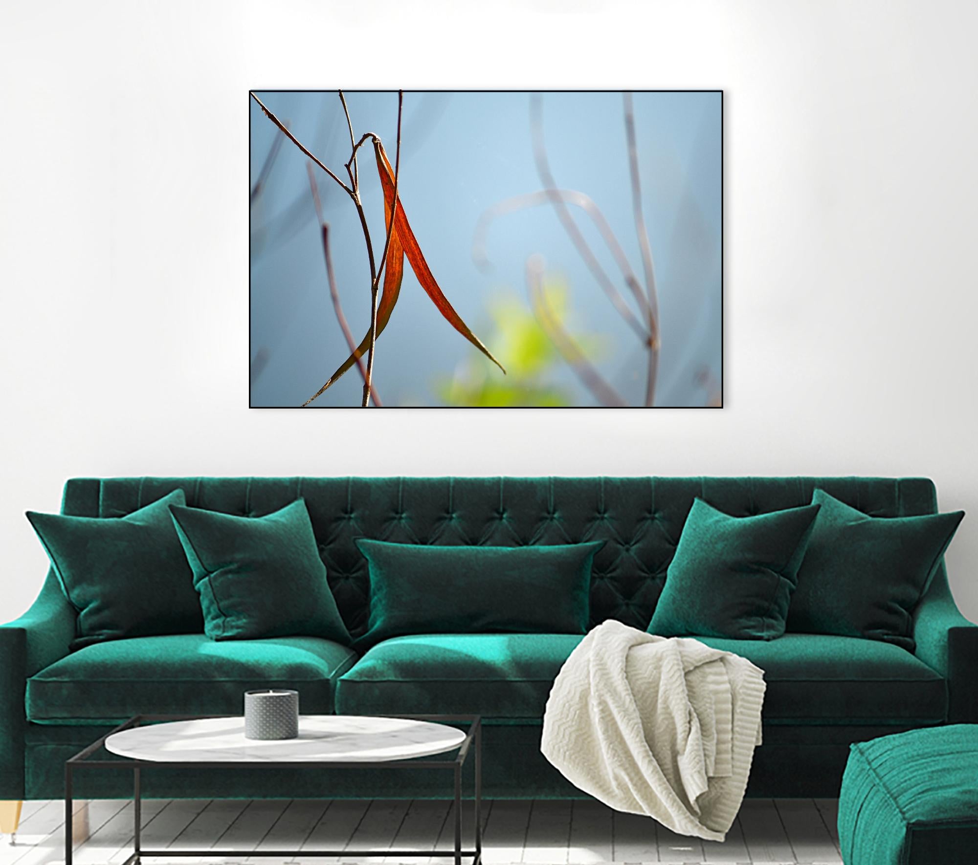 Red and Green by the River by Ulpi Gonzalez on GIANT ART - multicolor photography; floral/still life; landscapes