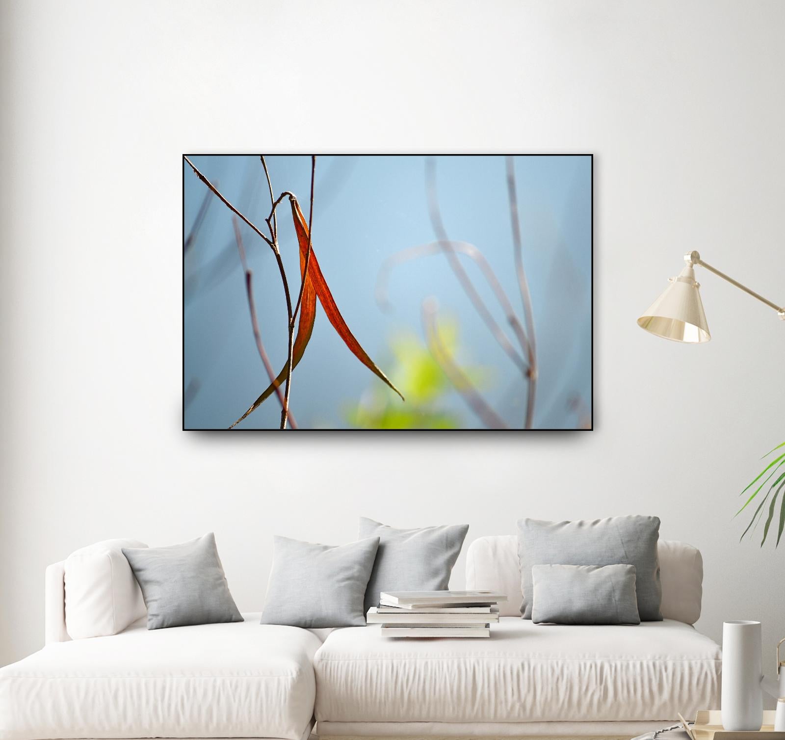 Red and Green by the River by Ulpi Gonzalez on GIANT ART - multicolor photography; floral/still life; landscapes