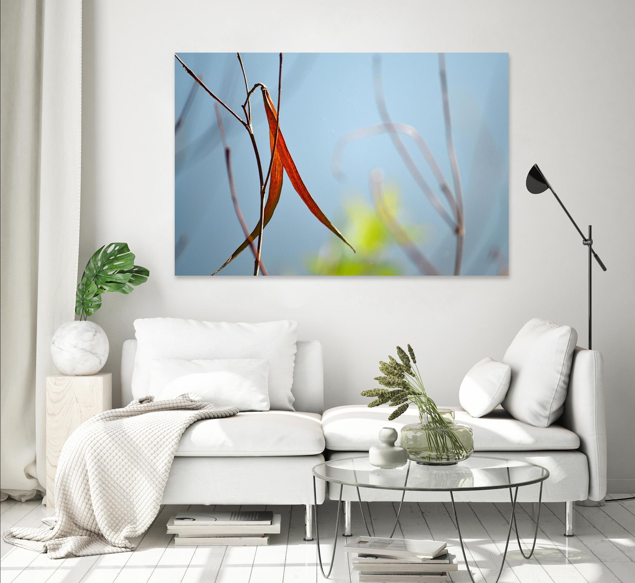 Red and Green by the River by Ulpi Gonzalez on GIANT ART - multicolor photography; floral/still life; landscapes