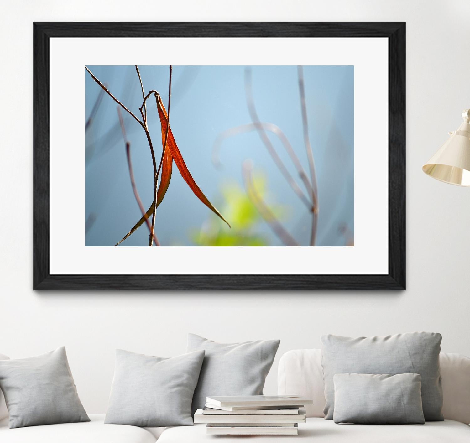 Red and Green by the River by Ulpi Gonzalez on GIANT ART - multicolor photography; floral/still life; landscapes