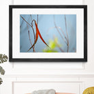 Red and Green by the River by Ulpi Gonzalez on GIANT ART - multicolor photography; floral/still life; landscapes