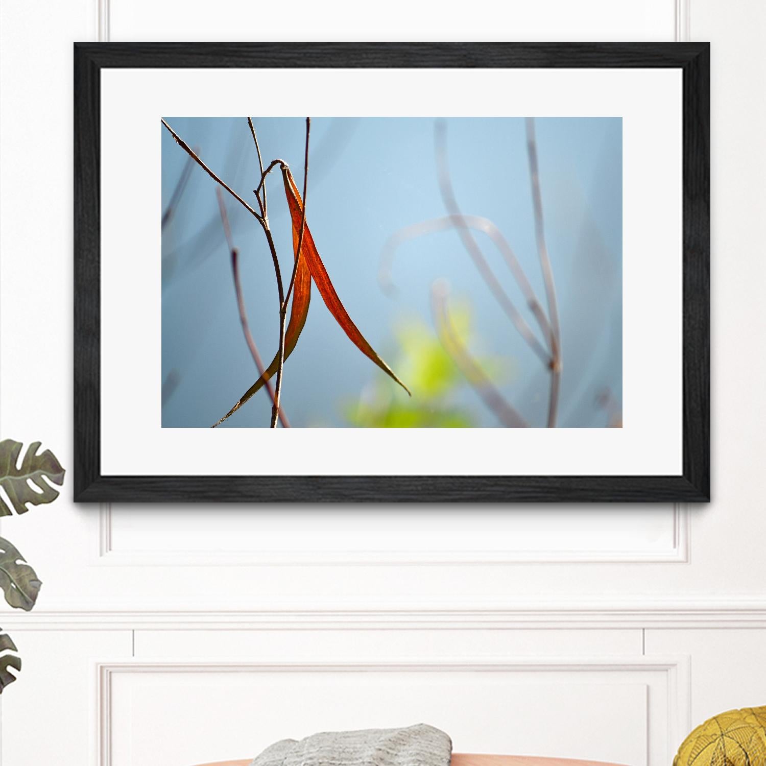 Red and Green by the River by Ulpi Gonzalez on GIANT ART - multicolor photography; floral/still life; landscapes