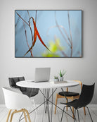 Red and Green by the River by Ulpi Gonzalez on GIANT ART - multicolor photography; floral/still life; landscapes