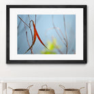 Red and Green by the River by Ulpi Gonzalez on GIANT ART - multicolor photography; floral/still life; landscapes