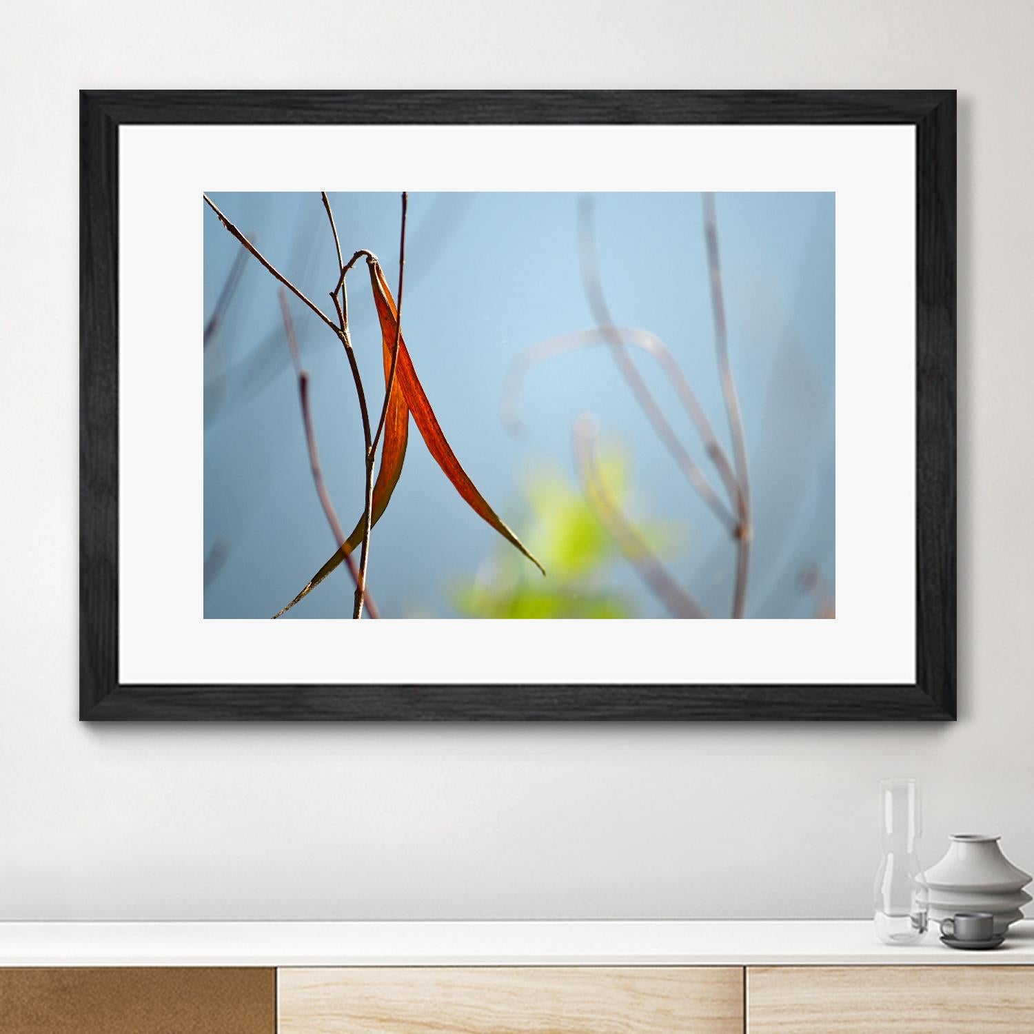 Red and Green by the River by Ulpi Gonzalez on GIANT ART - multicolor photography; floral/still life; landscapes